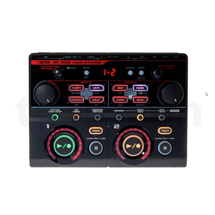 Boss RC-202